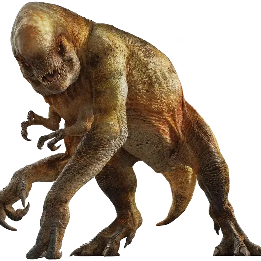 LeafyMiner8050의 d렉스