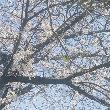 Profile image of 房太郎