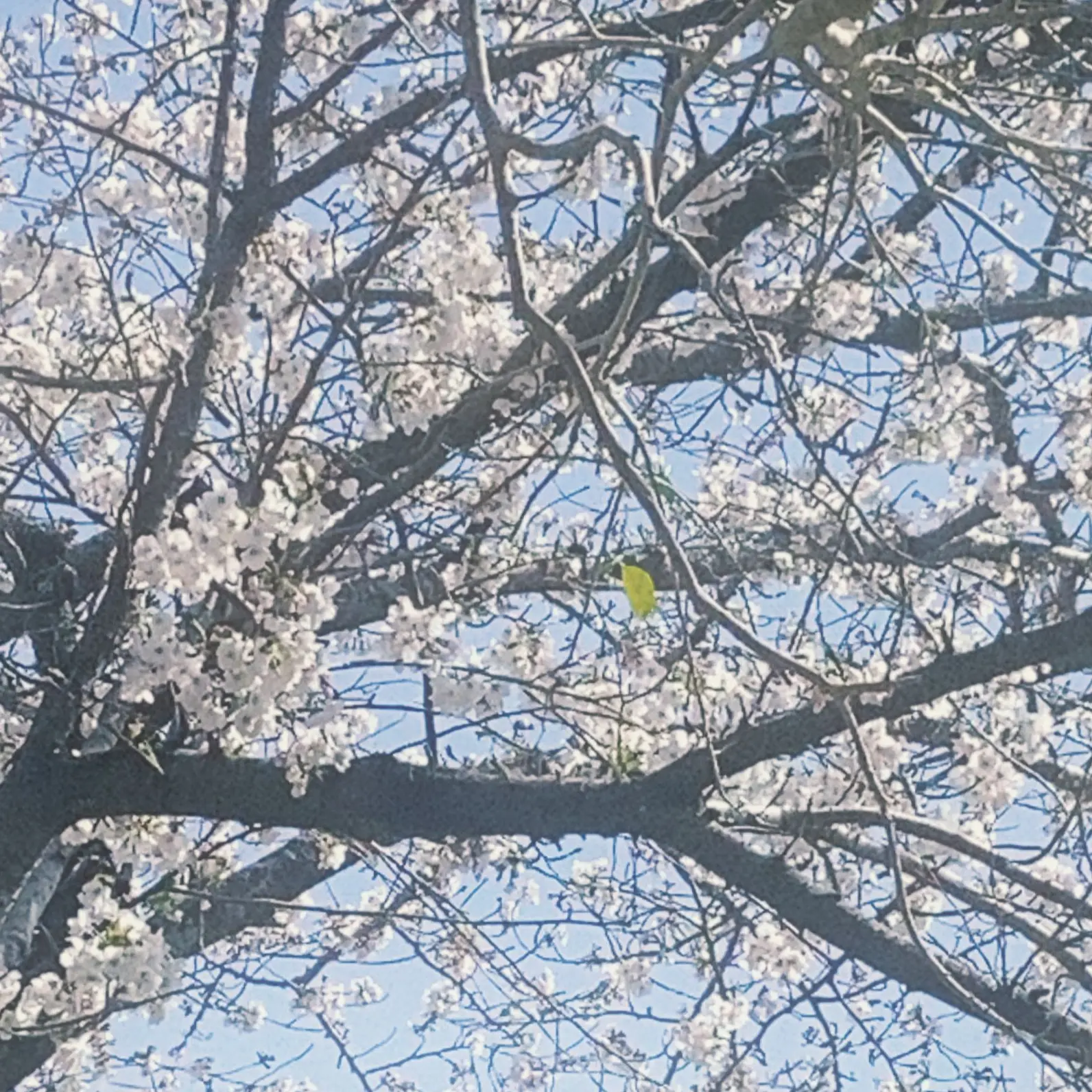 MoodyJaw2080의 日常