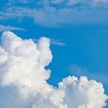 Profile image of 西園寺