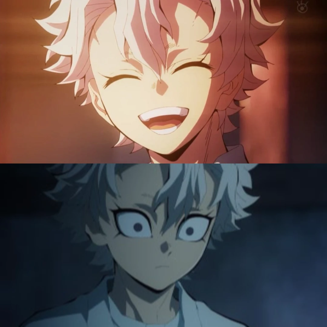 시나즈가와 사네미