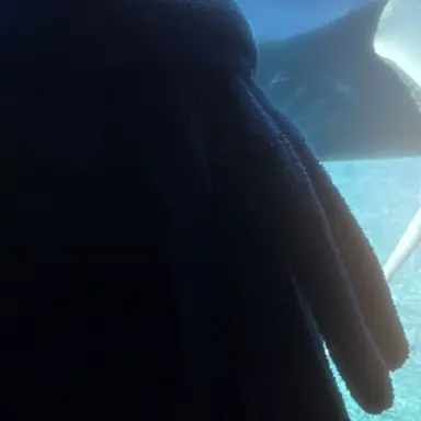 Profile image of 유지민