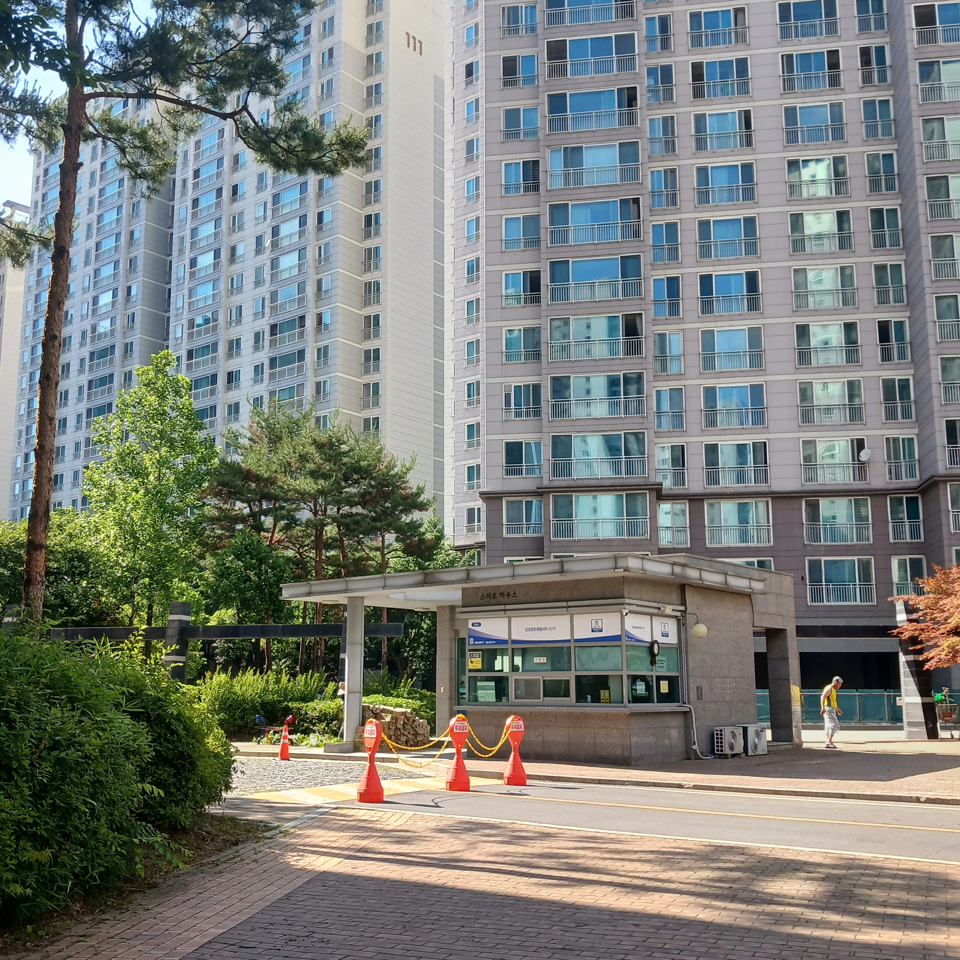 싸이코드와 여우