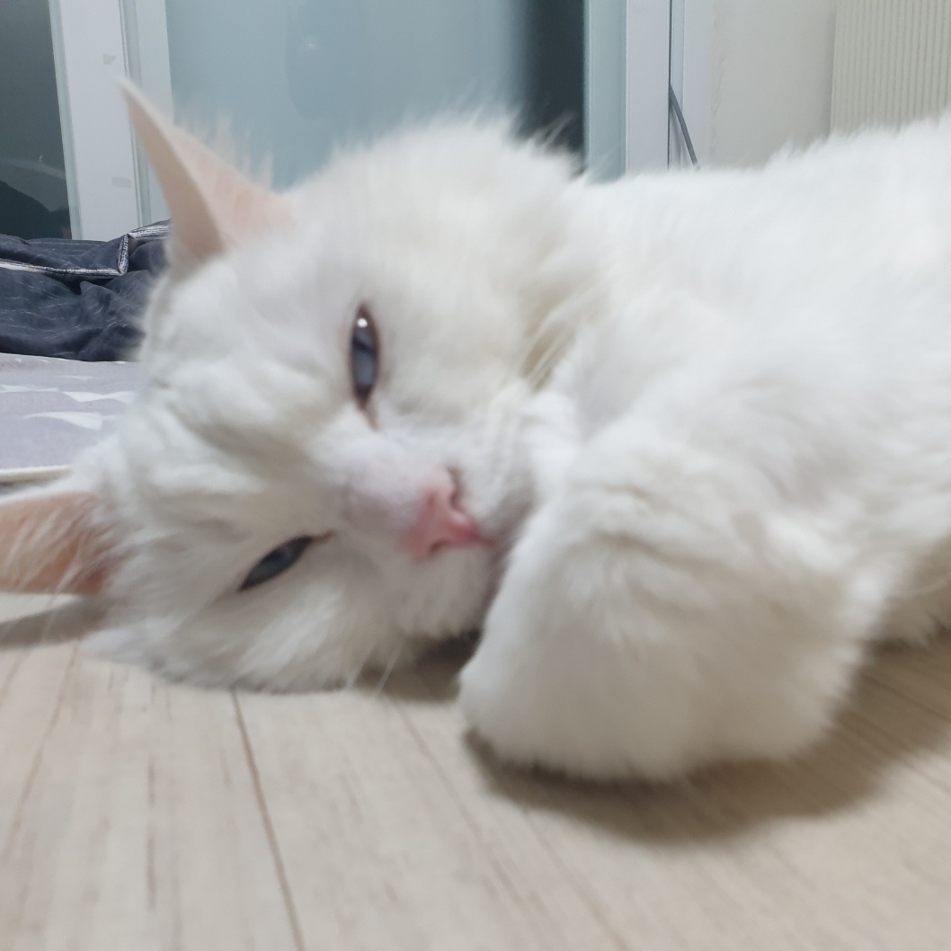 임아리 대표 이미지