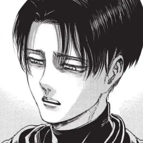 201225의 리바이 아커만