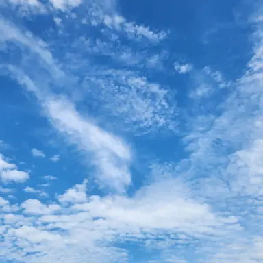 Profile image of 제로베이스원