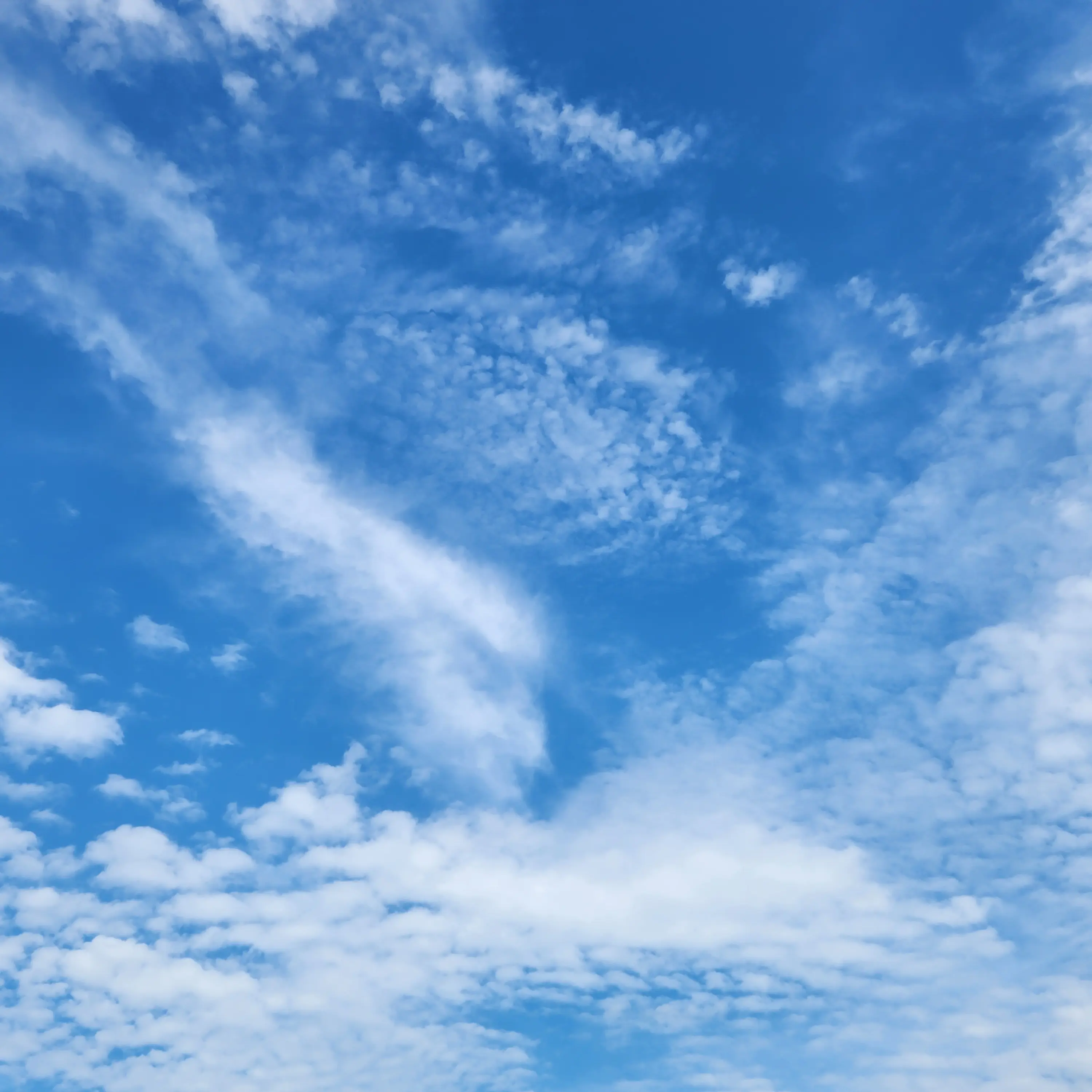 CurvyElk8097의 제로베이스원