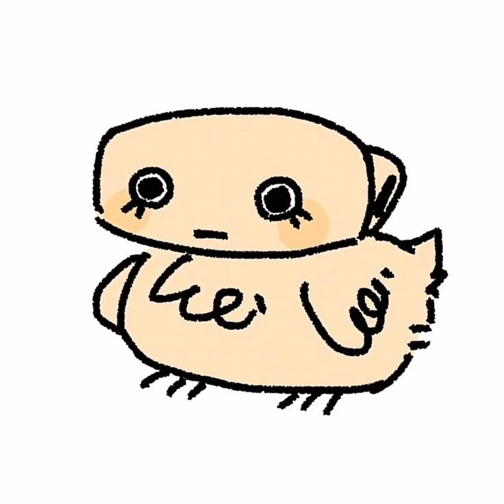 치킨 쉘리