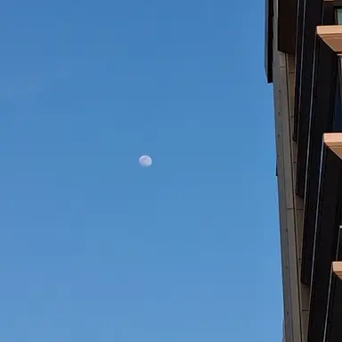 Profile image of 生徒たち