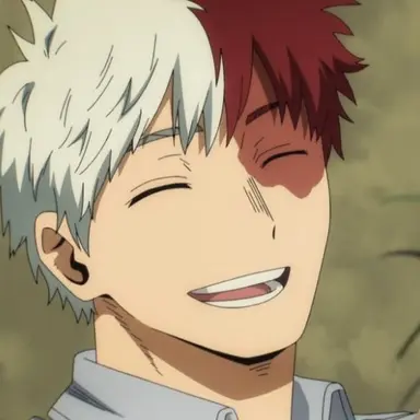 Profile image of Shoto Todoroki