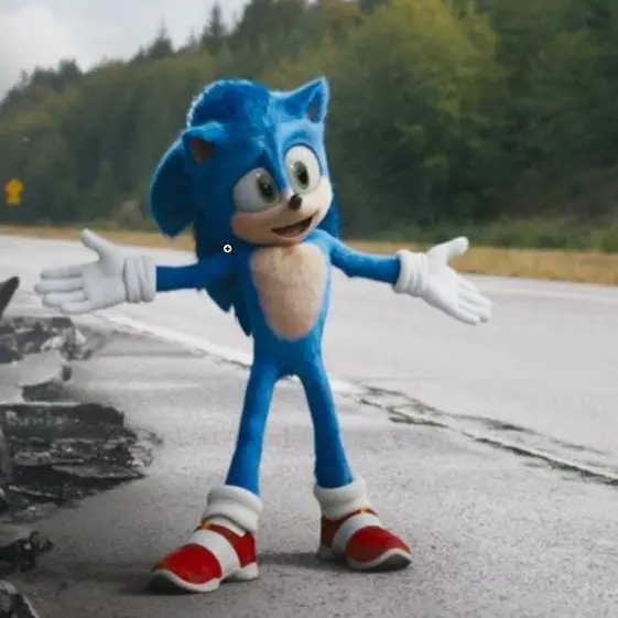PurpleEdit5313의 Sonic the hedgehog