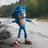 Sonic the hedgehog