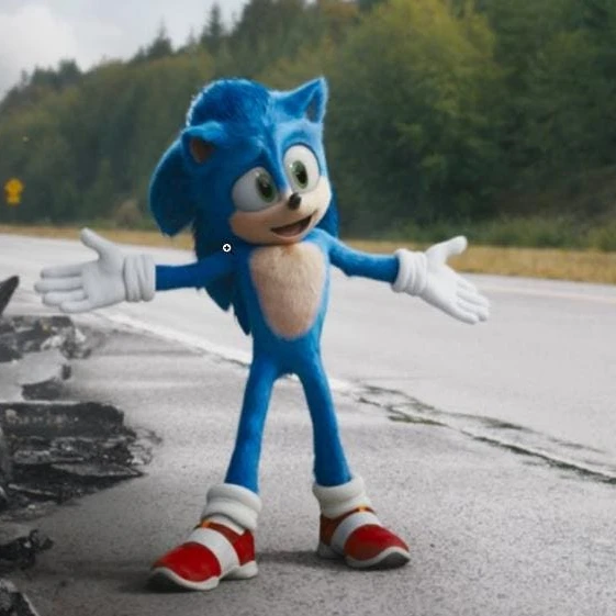 Sonic the hedgehog
