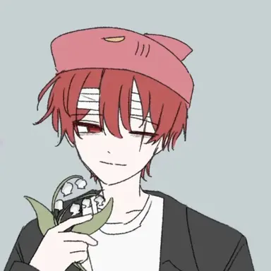 Profile image of Seo Rader