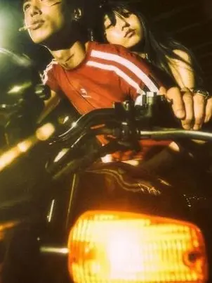 RottenRhea1035의 아크라포빅, 그리고 노란장판 그 사이