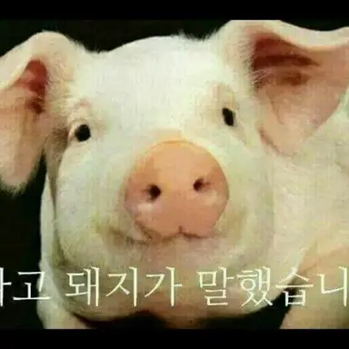 Profile image of 여우