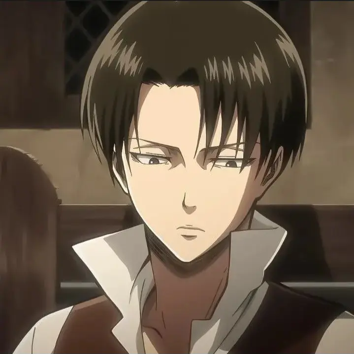 Levi160cm의 리바이
