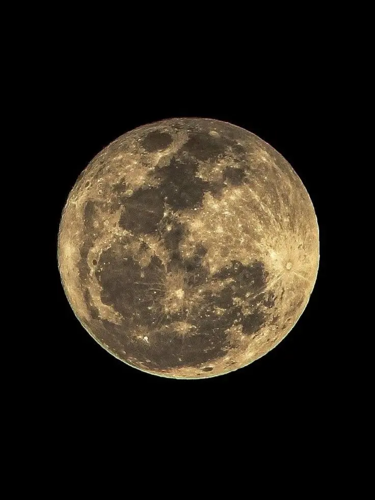 JibgagOShipdA21의 𝓜𝓸𝓷𝓷𝔂