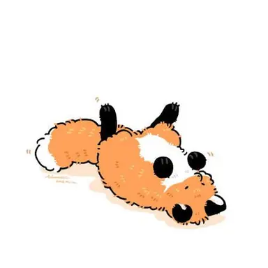 Profile image of 여우