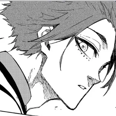 Profile image of Sae Itoshi
