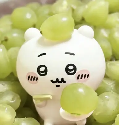 Profile image of 치이카와