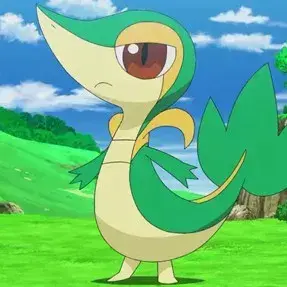 BoldPhoto3531의 Snivy