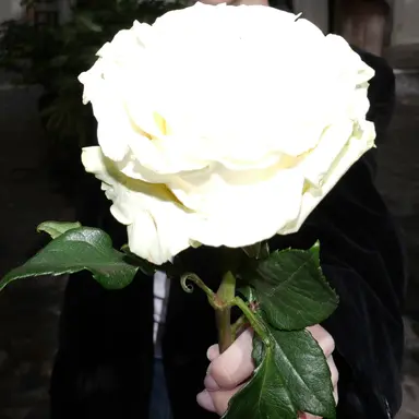 Profile image of 유지민