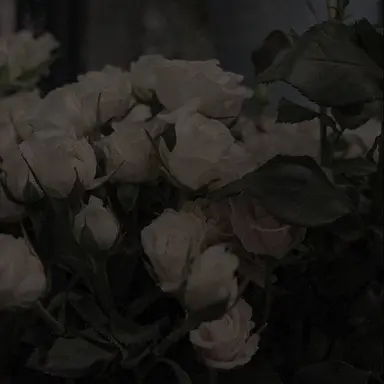 Profile image of 母親