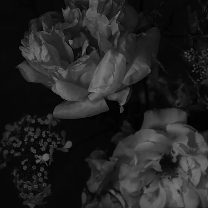 Lovecat1108의 Brilliant Villainess