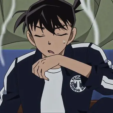 Profile image of Shinichi Kudo