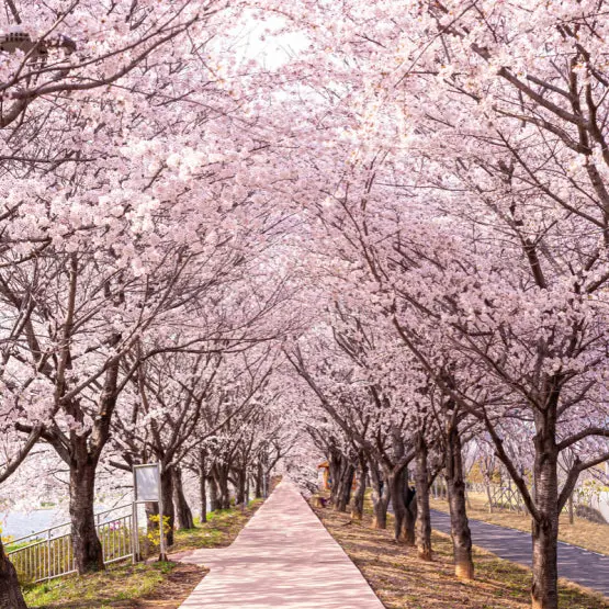 FunnyMoss3697의 이경민