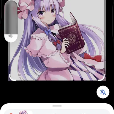 Profile image of パチュリー