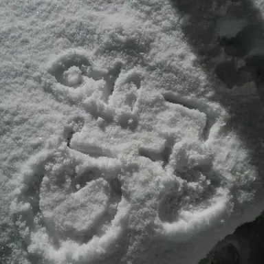 Profile image of 엔고