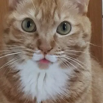 Profile image of 베리