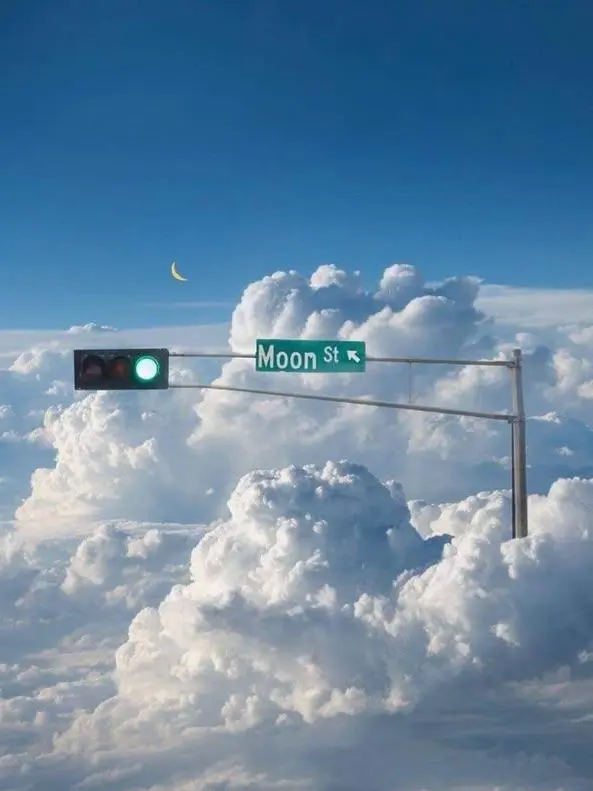 CloudyEel5287의 ある日翼が生えた
