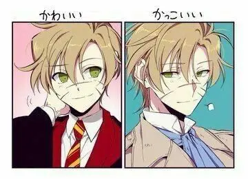 Profile image of リーマス