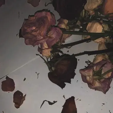 Profile image of 한지성