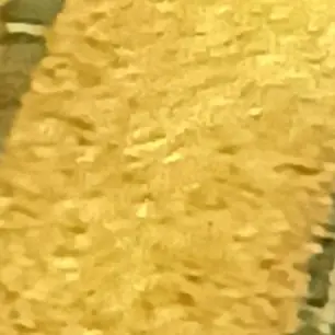 Profile image of 모양몬