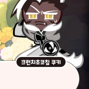 크런치초코칩