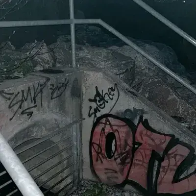 FrayedFlare9376의 Abusive Home