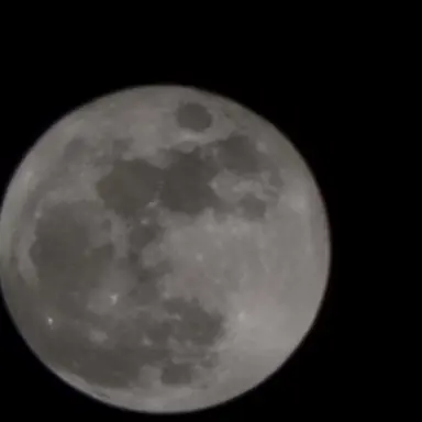 Profile image of 차건우