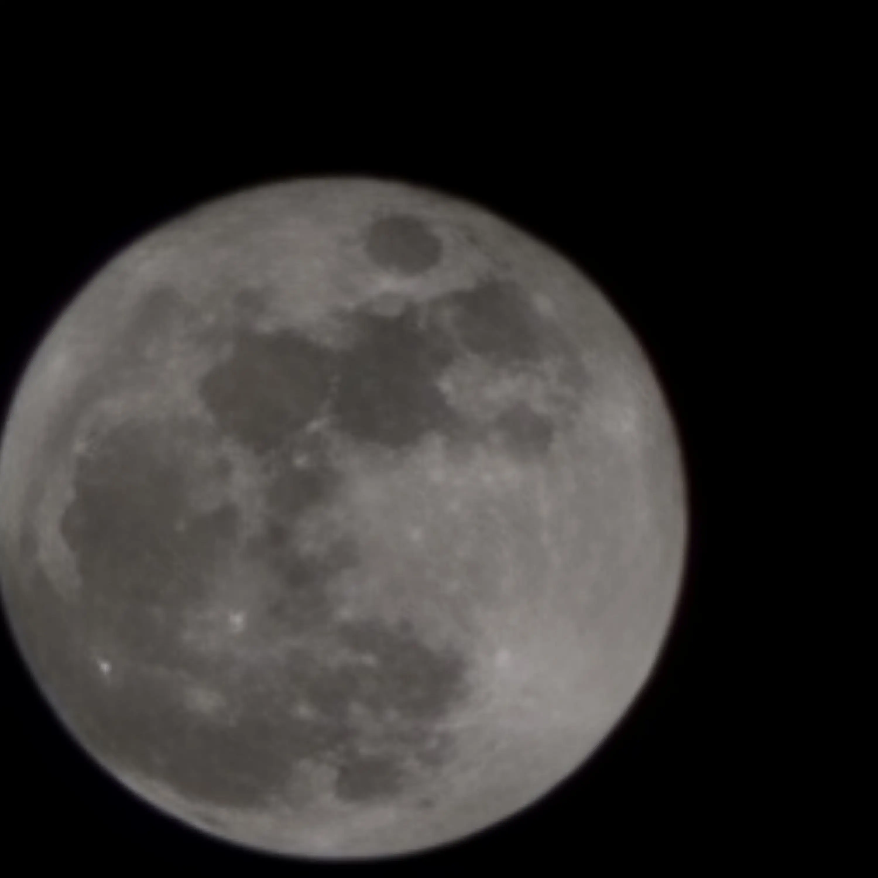 Yeon_yeon의 후회공이 먹고 싶어서...