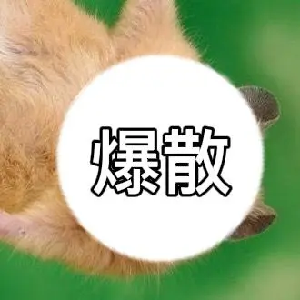 Profile image of 爆散