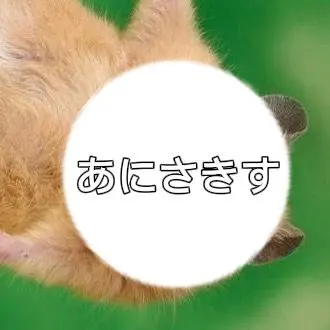 Profile image of あにさきす