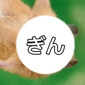 Profile image of ぎん