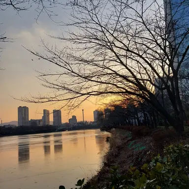 Profile image of 알라코