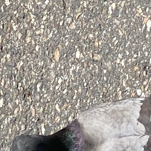 테스트