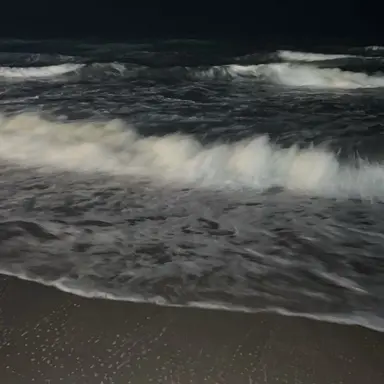 Profile image of ジフン