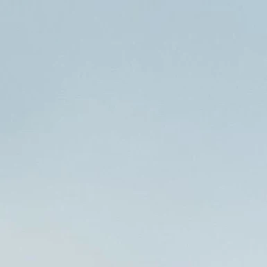 김동현