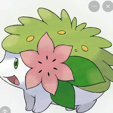 Profile image of 쉐이미